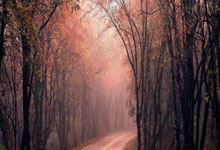 芒果体育：[英超]门前混战 迪亚斯撞射打破僵局.