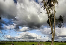 芒果体育：欧洲杯淘汰赛前瞻：超级死亡半区 英意暗流汹涌.