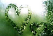 芒果体育：斯基拉：尤文已买断尼古拉斯-冈萨雷斯，转会总价超3800万欧.